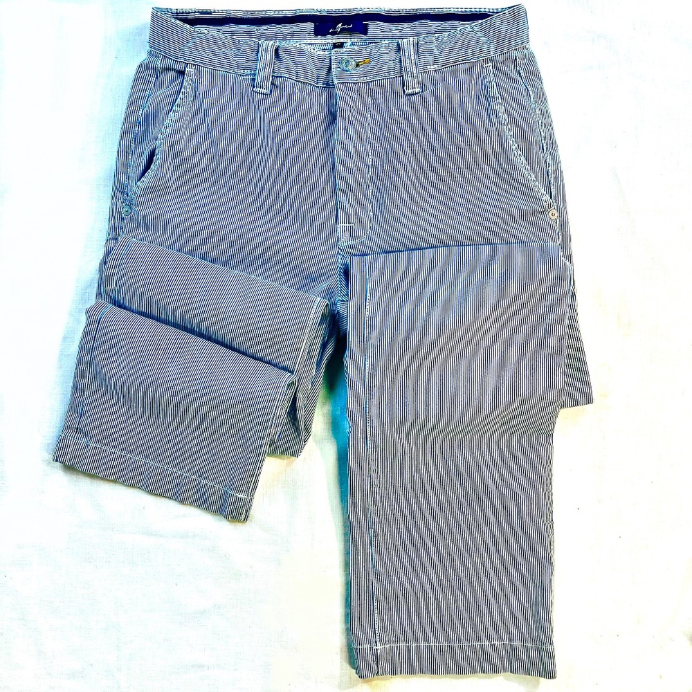 7 For All Mankind Pinstriped Pants